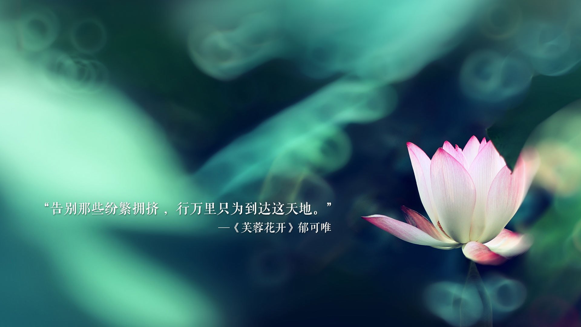 【名将传记】马克·塞尔比的逆境奋斗历程，马克塞尔比照片