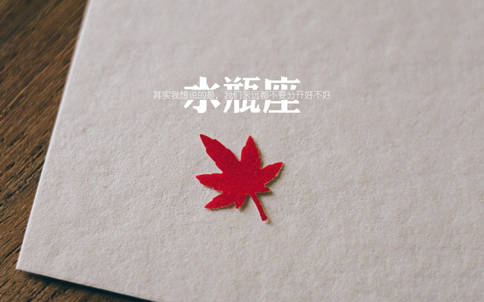 世界桥牌锦标赛，智者的巅峰对决，世界桥牌大赛