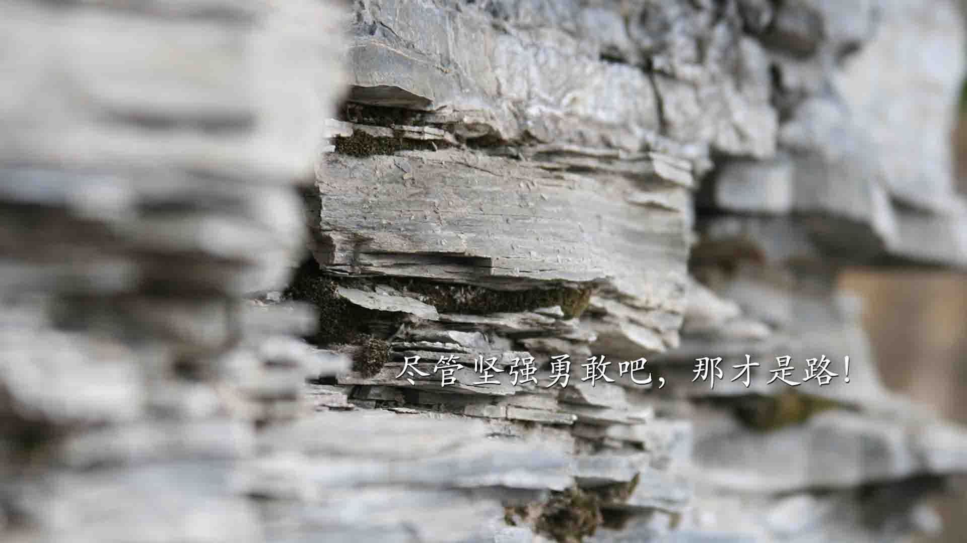 九游网页版入口-国民队新援首秀表现抢眼