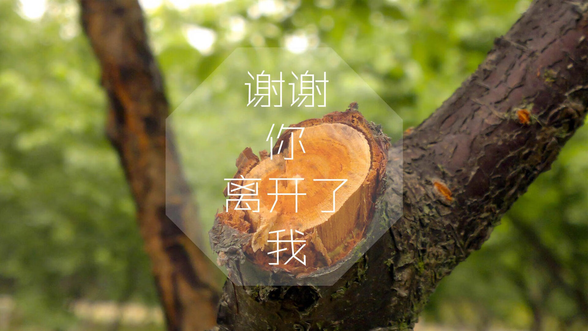 国民队球员伤病情况更新，nba国民队