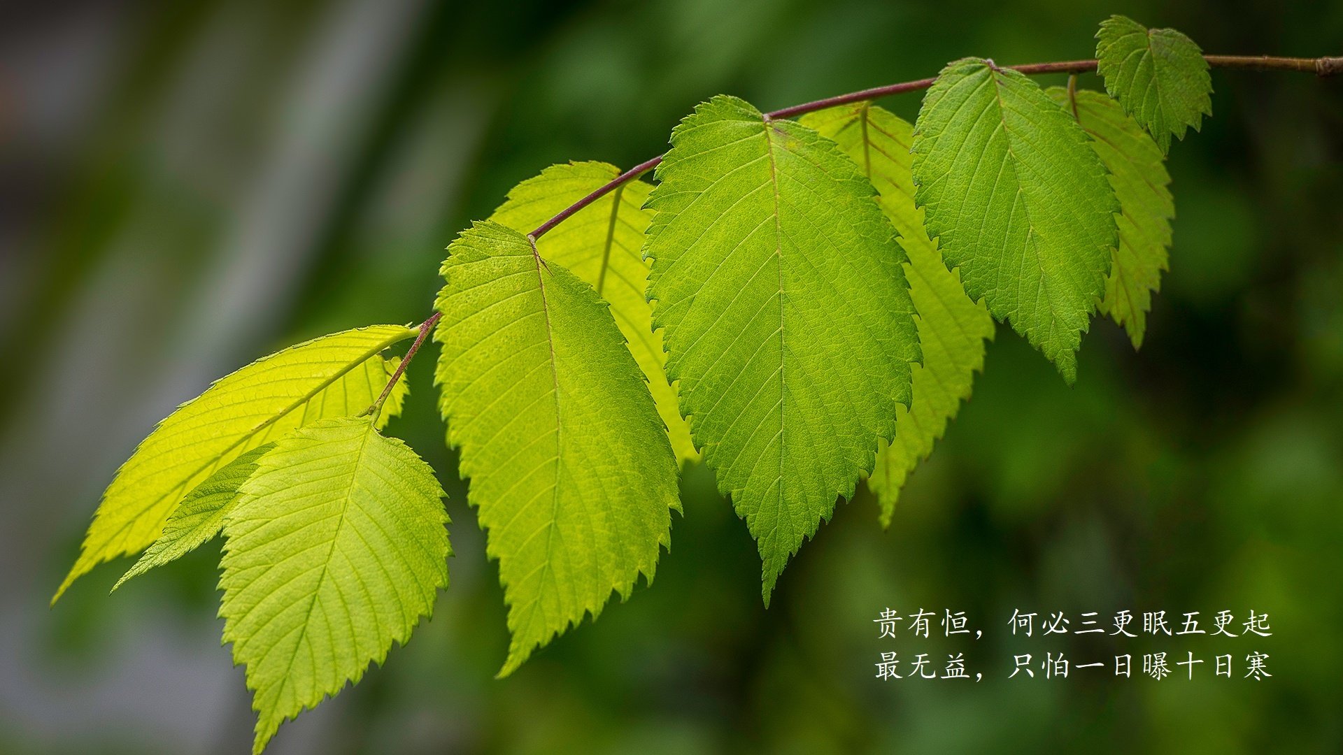 普拉提课程在心理健康领域的应用得到关注，普拉提理论解答题题目