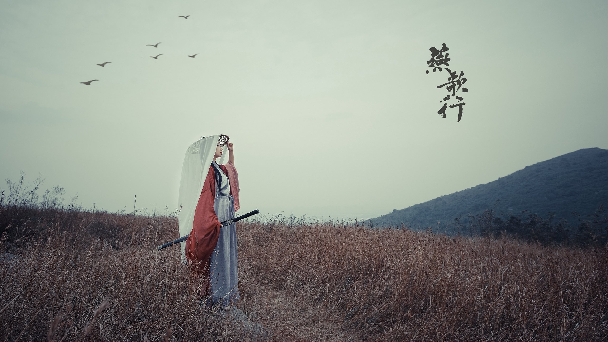 Jiu You-球队老将伤停困扰，新秀崭露头角，新秀带队进季后赛