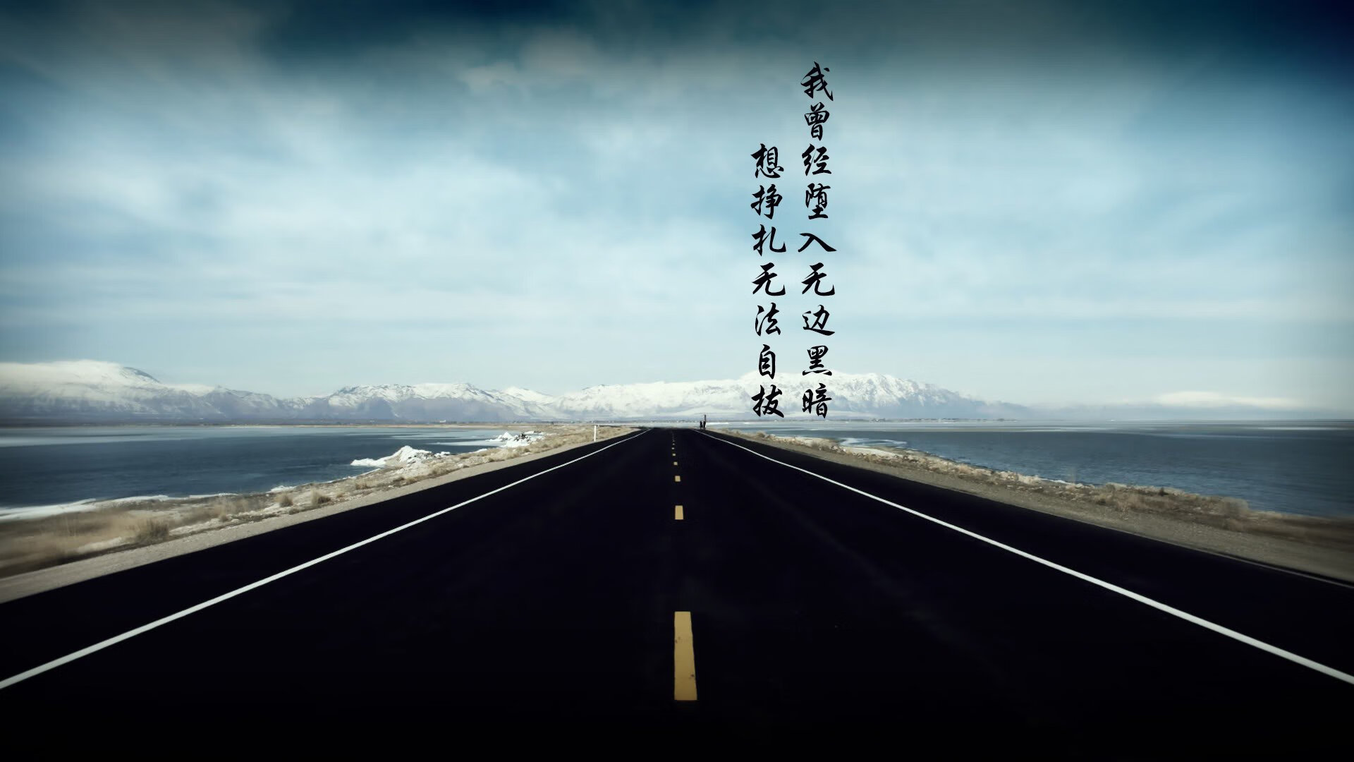 球队老将伤停困扰，新秀崭露头角，新秀带队进季后赛