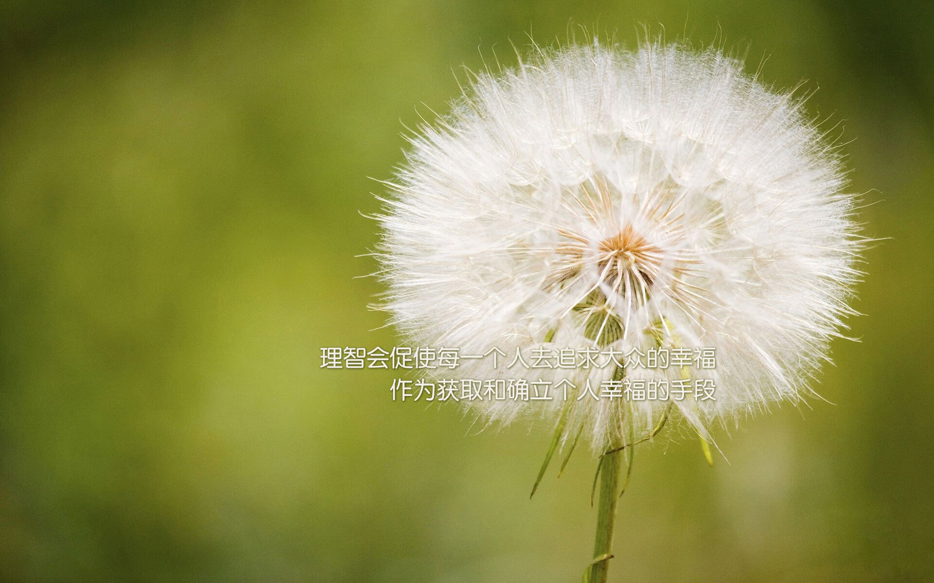 九游APP官网-雷恩泰尼克打破僵局，助球队逆转击败对手，雷恩简介