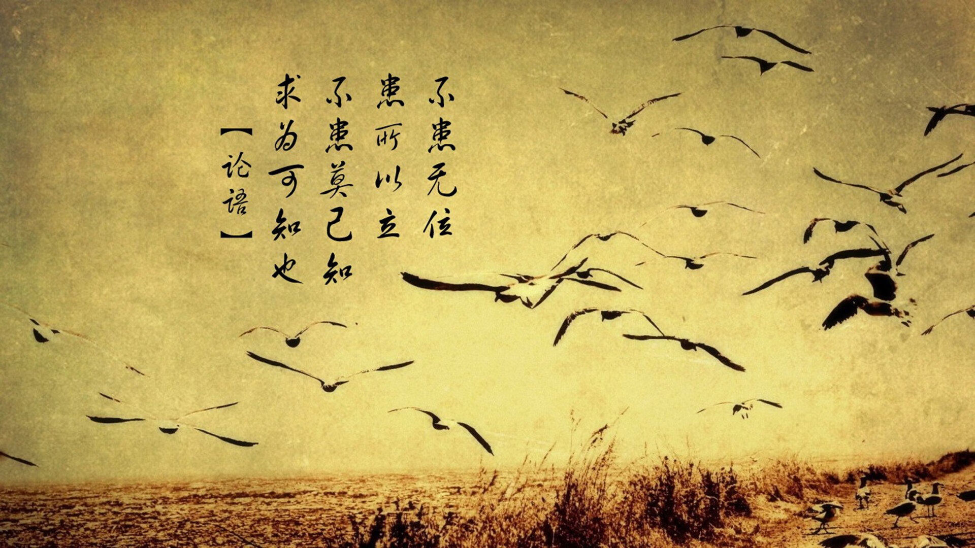 九游网游官网-中国男篮调整阵容适应比赛节奏，中国男篮蓝队
