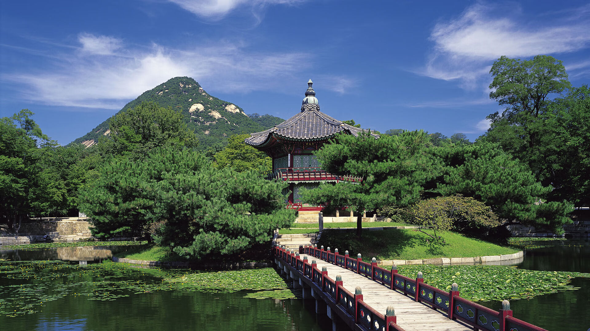 数字化足球训练社区平台成为青少年成长的新阵地，数字足球怎么画