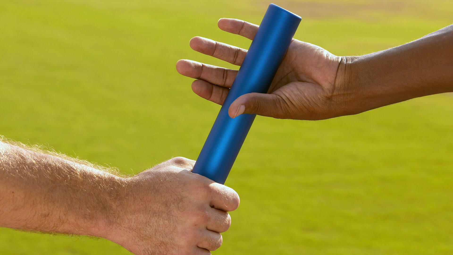 “山谷飞驰：陡峭赛段的速度激情”，山谷飞鸟