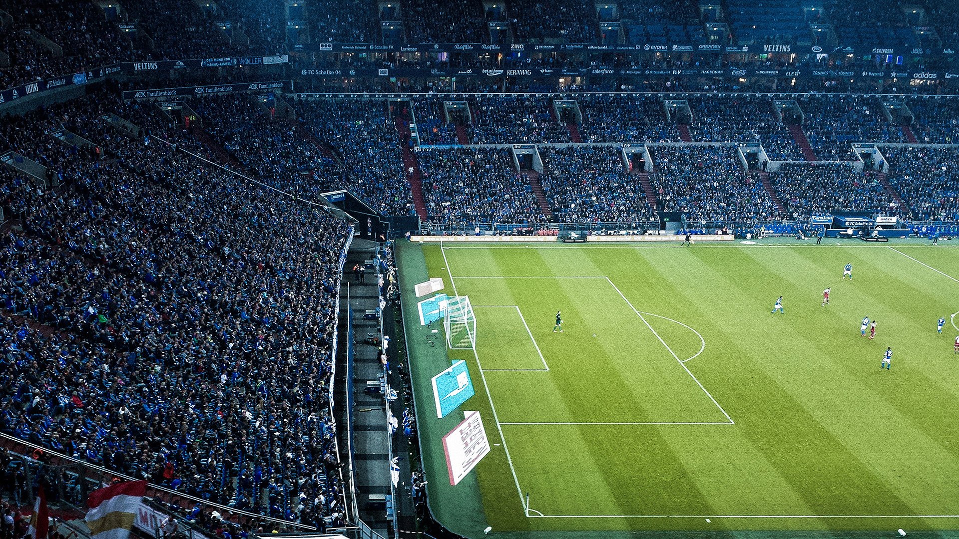 “山谷飞驰：陡峭赛段的速度激情”，山谷飞鸟