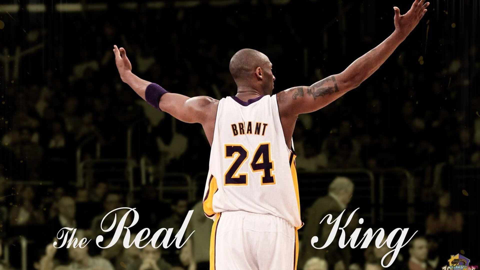 扎卡里·里萨谢在NBA常规赛中砍下38分,扎卡里亚斯